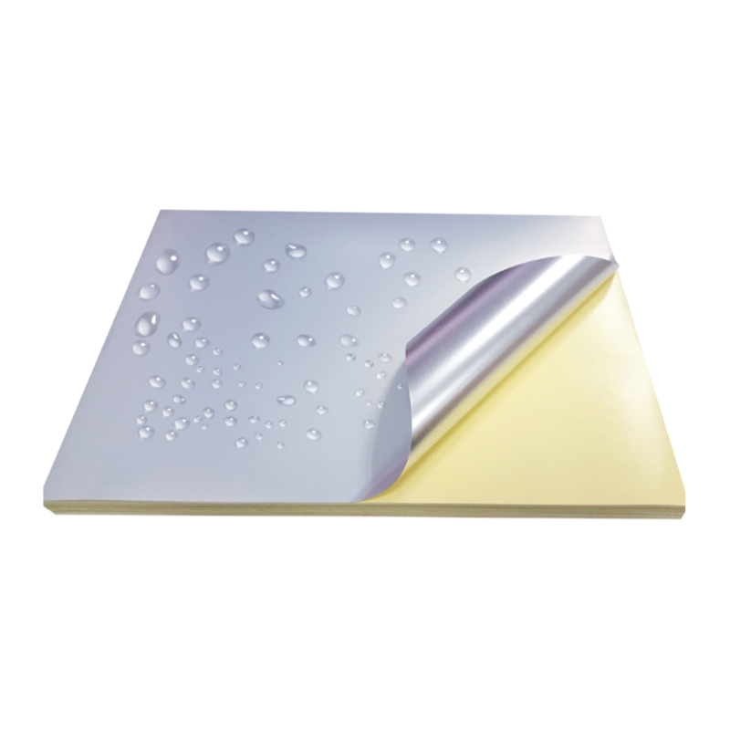 Matowa srebrna folia dla zwierząt domowych o grubości 50um z żółtą silikonową wkładką